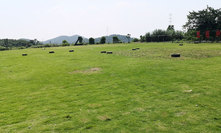 训练草坪-重庆