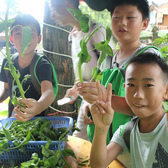 “打工奇遇記”新場古鎮(zhèn)社會實踐6天夏令營