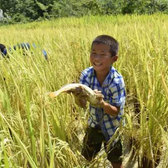 2019古城茶寨小學(xué)7天助學(xué)營(yíng)