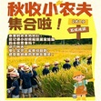 1日秋收研学营|割稻打谷+稻草DIY+乐园畅玩