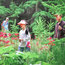 【北京-張家口】5天大黃蜂成長夏令營|獨特勛章體系+綜合能力培養(yǎng)+互動性強