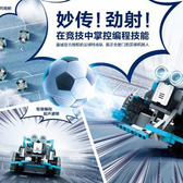 WRC11天比賽冠軍營