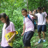 野趣拓展歡樂5天夏令營