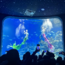2天海洋馆奇妙夜独立营|海底帐篷夜宿+投喂海龟海豚+鲨鱼后厨探秘