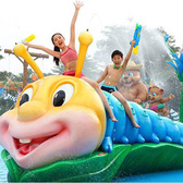 羊城歷險記夏令營