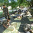 14天小將軍亮劍特訓(xùn)營(yíng)