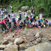 螢火蟲之夏5天自然科普夏令營