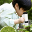 1日雨林沙漠植物探索营|多气候温室生态+植物生理专业+园林导师面对面