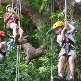 2019【雨林探險(xiǎn)家】自然研學(xué)冬令營(yíng)（西雙版納）（已滿）