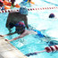 14天针对性教学+专业师资团队+体能训练|游泳夏令营