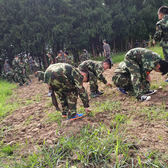 28天小將軍未來領(lǐng)袖行為習(xí)慣塑造營