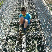 科普英語高階閱讀營（13-16歲）（福州）