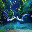 5天齐鲁海岸成长营|海洋科研院所+北洋历史课堂+海上乐园休闲