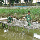 2020廣西黃埔5天軍事體驗(yàn)夏令營（梧州）