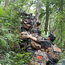 投石黃埔5天軍事勵志冬令營
