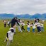 6天“山河入怀”伊犁研学夏令营|走进赛里木湖+驰骋那拉提草原+漫步天山花海