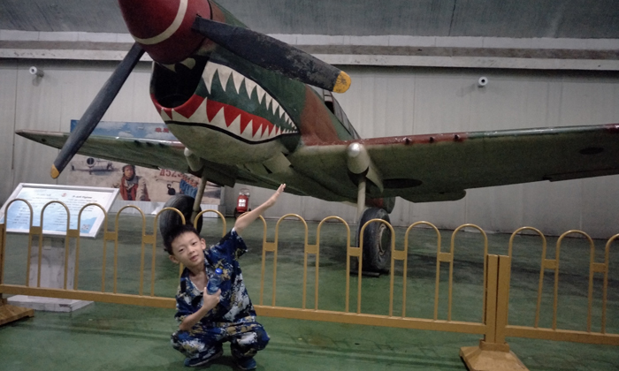 我与鲨鱼战斗机