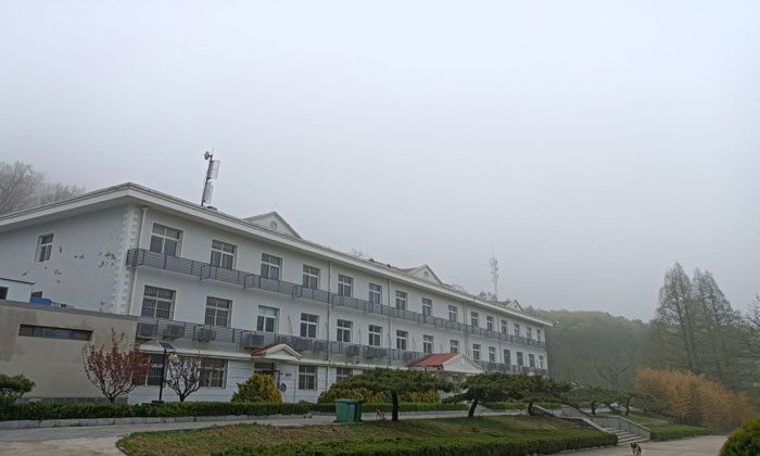 森林日記-營地環(huán)境