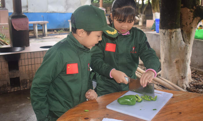 術(shù)業(yè)有專攻