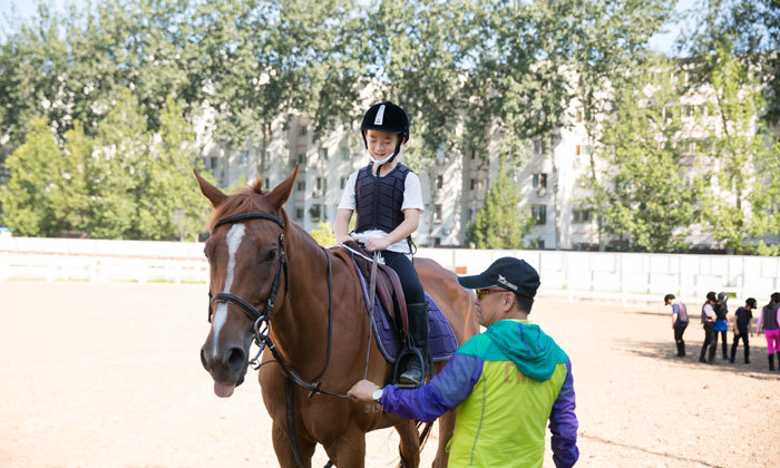 教練指導騎馬