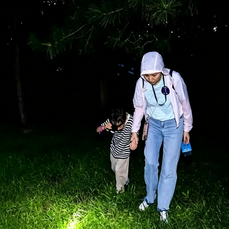 半日北京夜间昆虫自然侦探营|山林夜探观测+夜间昆虫科普+野外自然探索