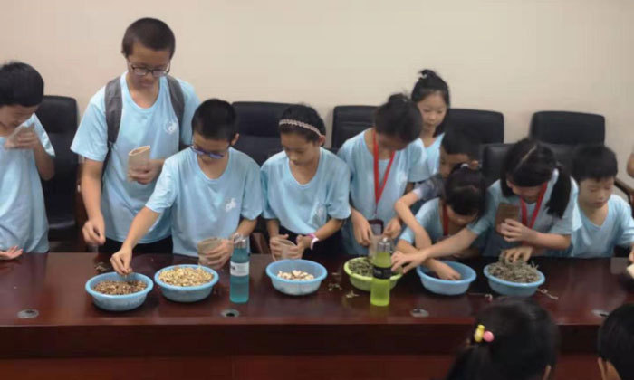 鄉(xiāng)村-辨別材料