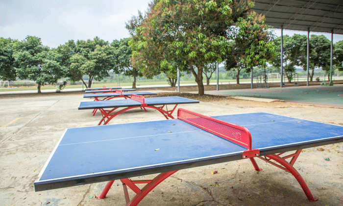 乒乓球訓(xùn)練場