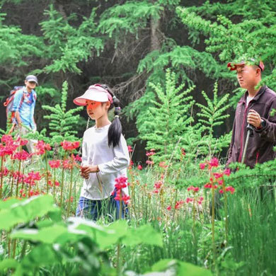 【北京-張家口】5天大黃蜂成長夏令營|獨特勛章體系+綜合能力培養(yǎng)+互動性強