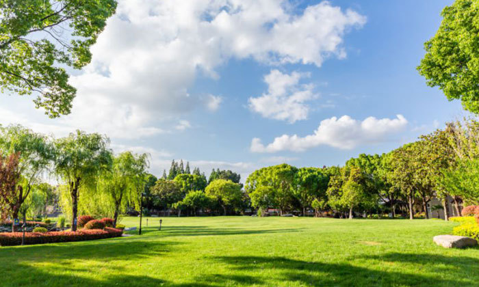淀山湖营地环境