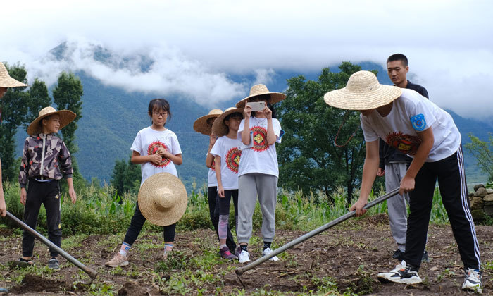 除草（山區(qū)變形記）