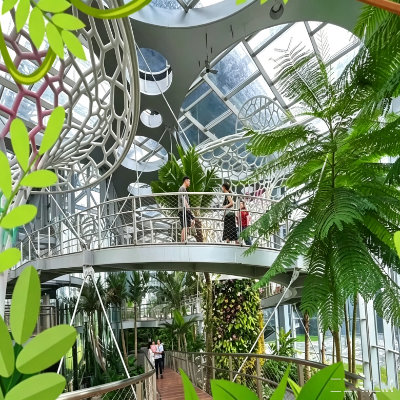 1日雨林沙漠植物探索营|多气候温室生态+植物生理专业+园林导师面对面