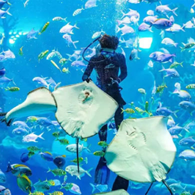 【厦门泉州亲子】5天探秘海上丝绸之路冬令营|年味闽南+非遗传承+双城研学