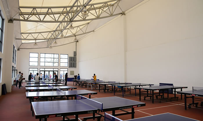 室内乒乓球馆