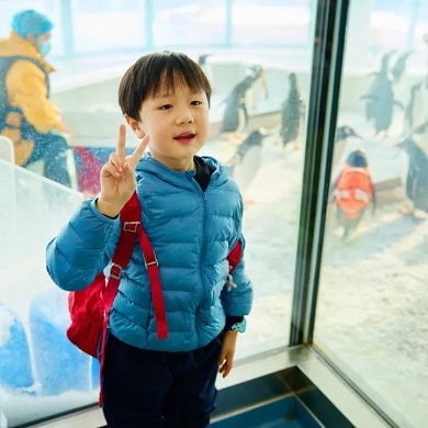 【哈尔滨独立】6天哈尔滨研学冬令营|南极网红+冰雪大世界+走进哈工大