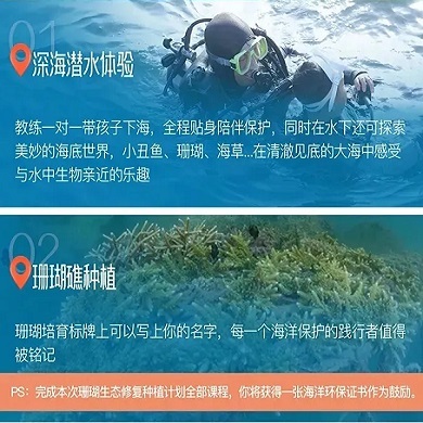 【三亚独立】6天三亚冲浪潜水独立冬令营|潜水移植珊瑚+激情冲浪+雨林探险