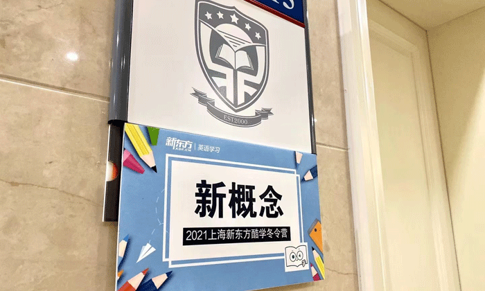 新概念夏令营课程