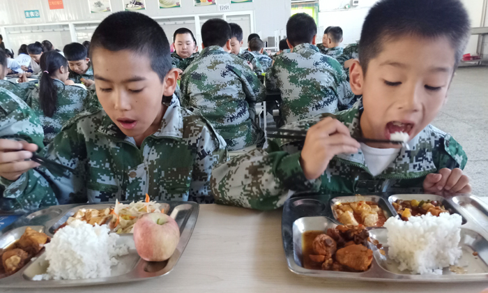 好看又好吃的饭菜