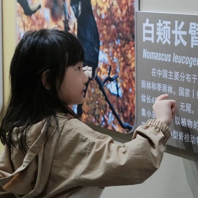 【北海亲子】6天北海涠洲岛观鲸冬令营|快艇出海寻鲸+火山熔岩地质科考+岛民体验