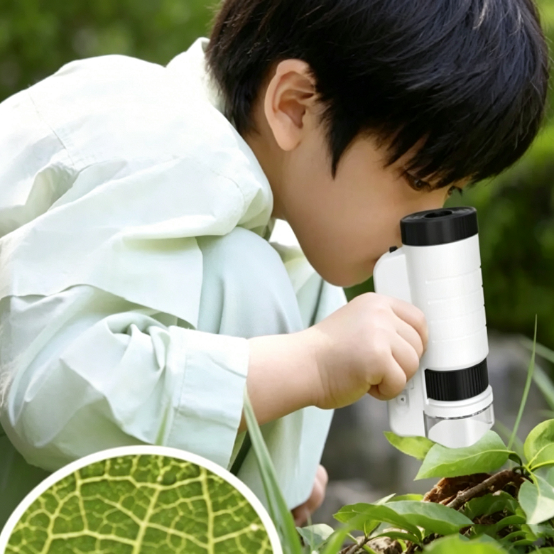 1日雨林沙漠植物探索营|多气候温室生态+植物生理专业+园林导师面对面