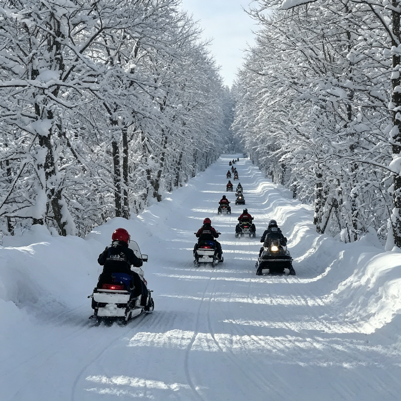 6天伊春冰雪亲子营|林海研学+非遗体验+萌鹿互动