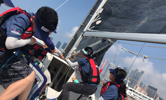 齊心協(xié)力拉索