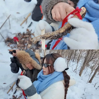 【哈亚雪亲子】6天冰雪王国奇遇冬令营|探航天馆+亚布力滑雪场+宿梦幻雪乡