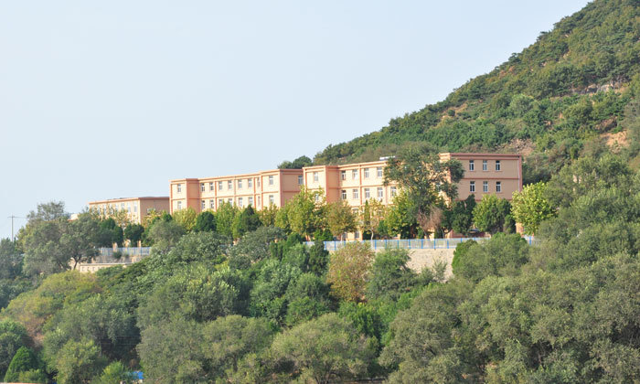 常青藤国际学校