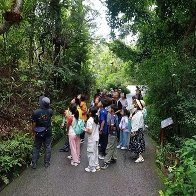 【西双版纳亲子】6天奢玩西双版纳亲子冬令营|为大象洗澡+丛林飞跃+学跳象脚鼓舞