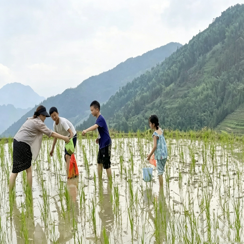5天桂林夏日慢旅营|溶洞地质+漓江山水+画廊泛舟+猫儿山+云海日出