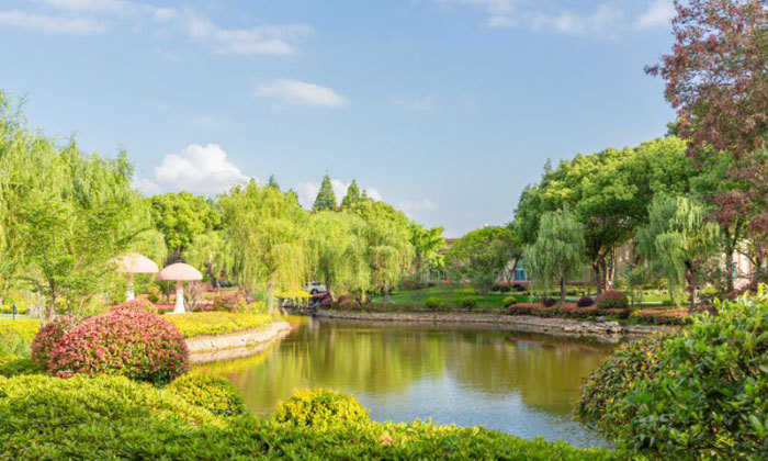 淀山湖营地环境