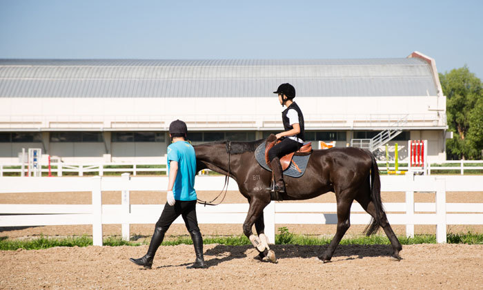 馬術學習