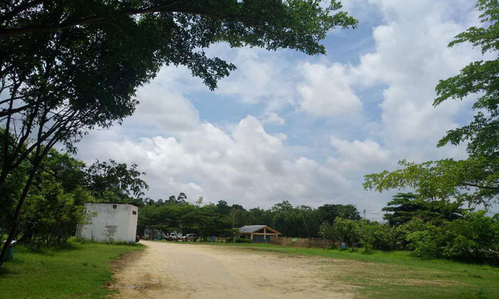 广西黄埔军事夏令营营地环境照片