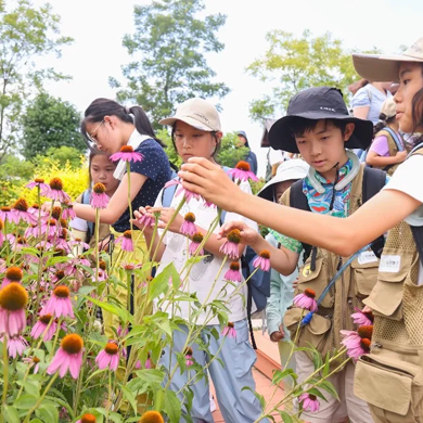 【新疆独立】6天“山河入怀”研学夏令营|民俗体验+生态保护+自然景色