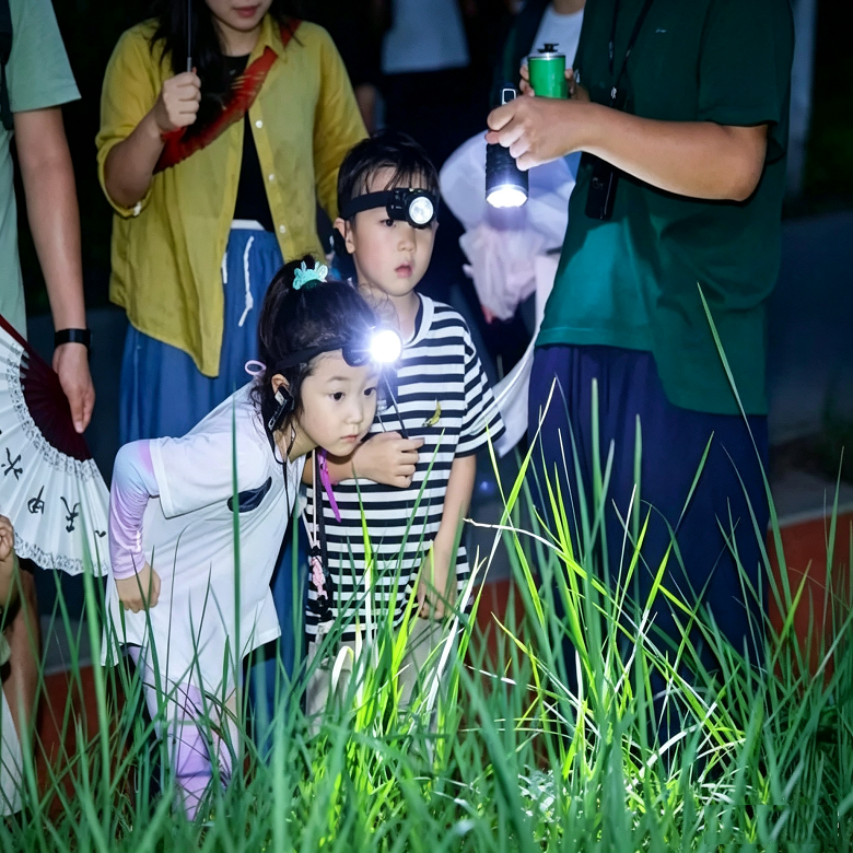 半日北京夜间昆虫自然侦探营|山林夜探观测+夜间昆虫科普+野外自然探索